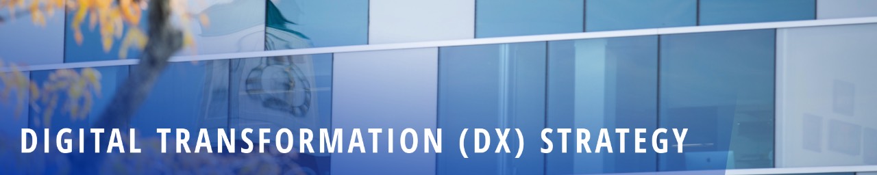 DX Strategy Revised Banner Graphic